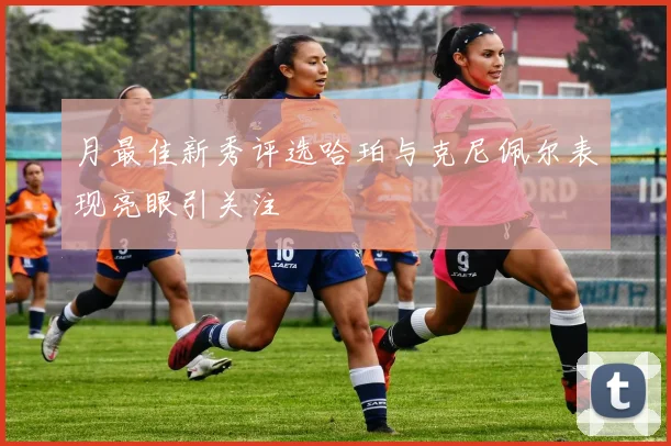 月最佳新秀评选哈珀与克尼佩尔表现亮眼引关注