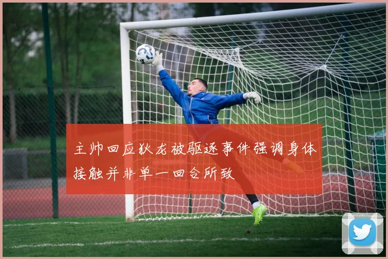 主帅回应狄龙被驱逐事件强调身体接触并非单一回合所致