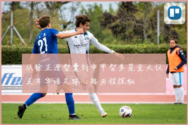 从徐正源智囊到中甲智多星金大仪五年华语足球心路历程探秘