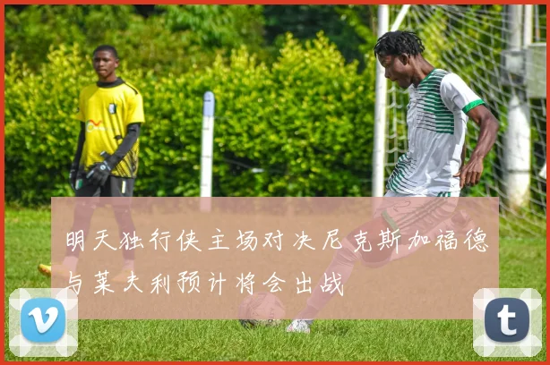 明天独行侠主场对决尼克斯加福德与莱夫利预计将会出战